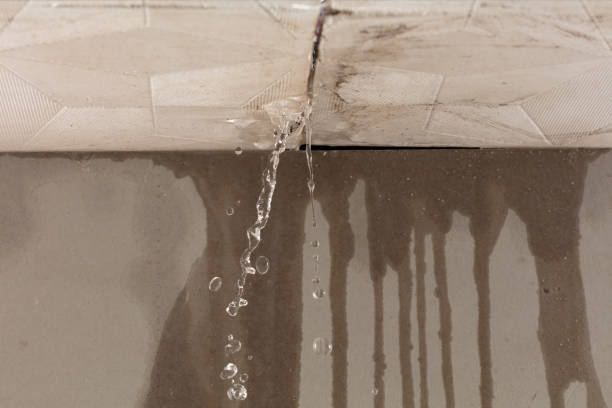Professional Burst Pipe Cleanup technician working in Round Pond, ME